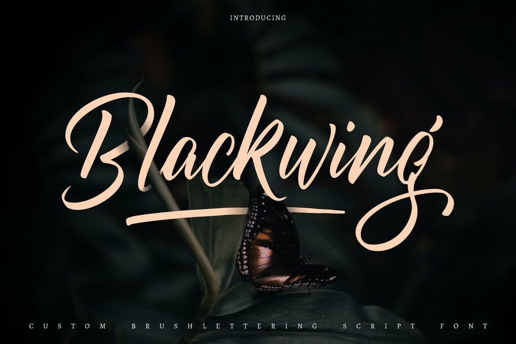 Blackwing | Custom Brush Lettering Script Font