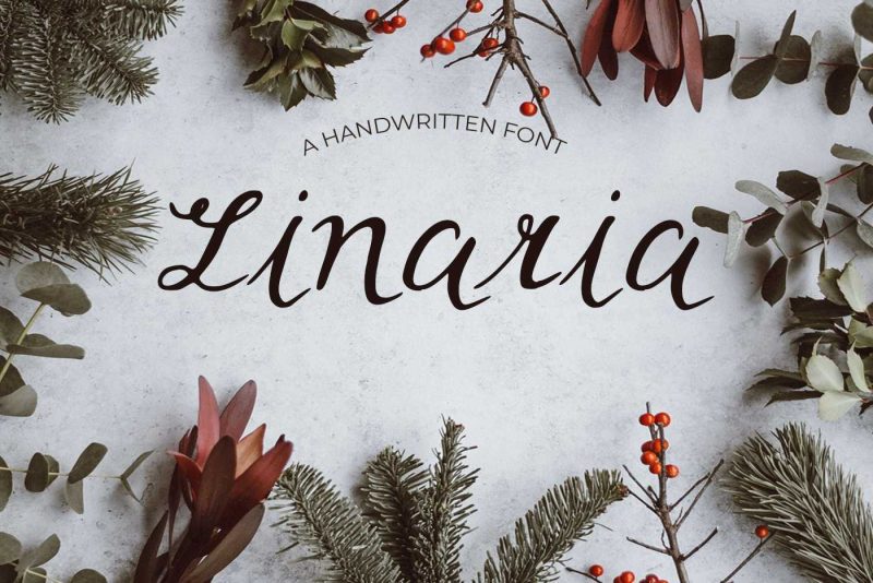 Linaria Font - Freebie