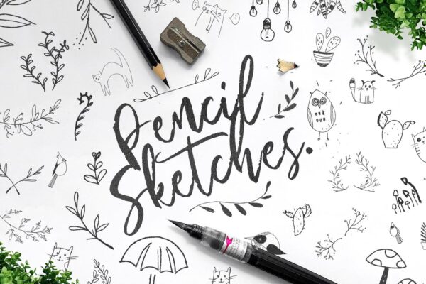 Pencil Sketches Bundle