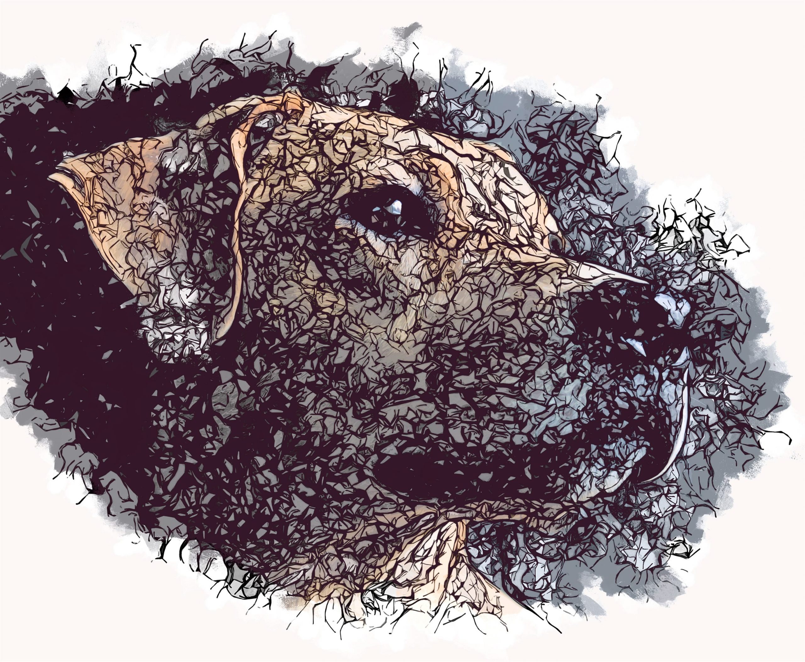 Tattoo Photoshop Action