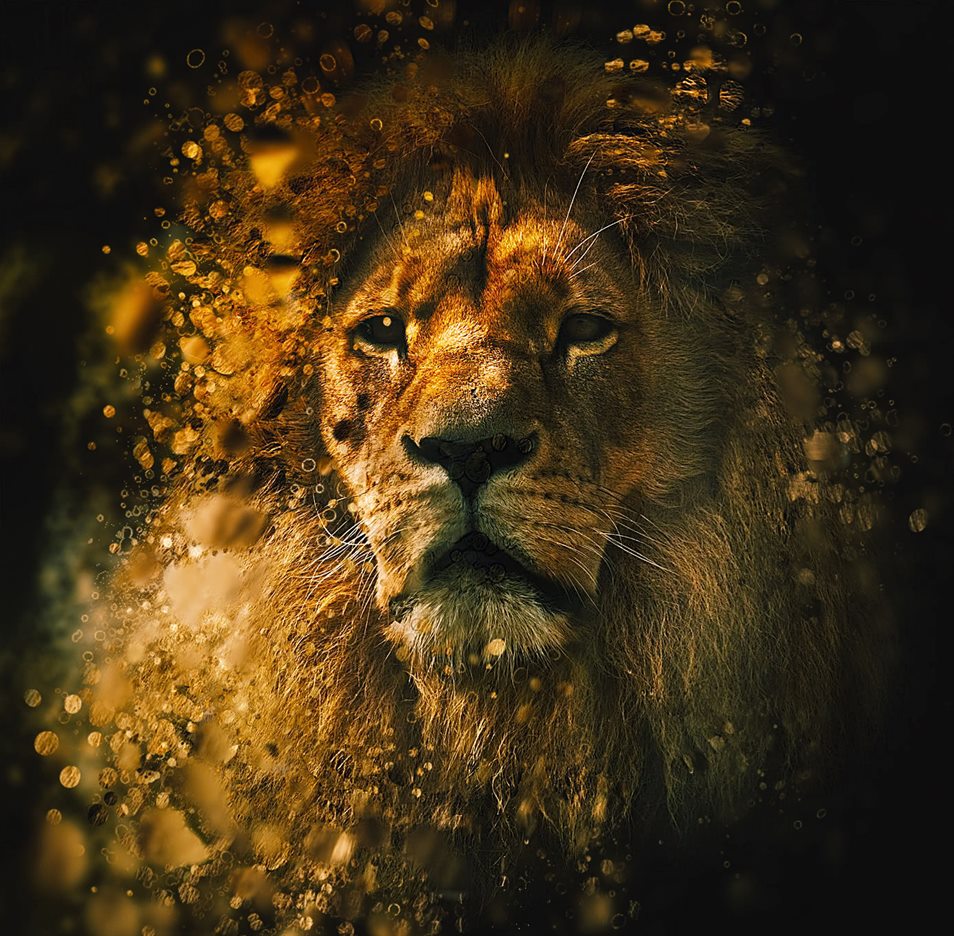 Dispersion 2 Photoshop Action