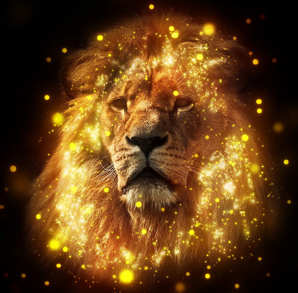 Sparkle Photoshop Action