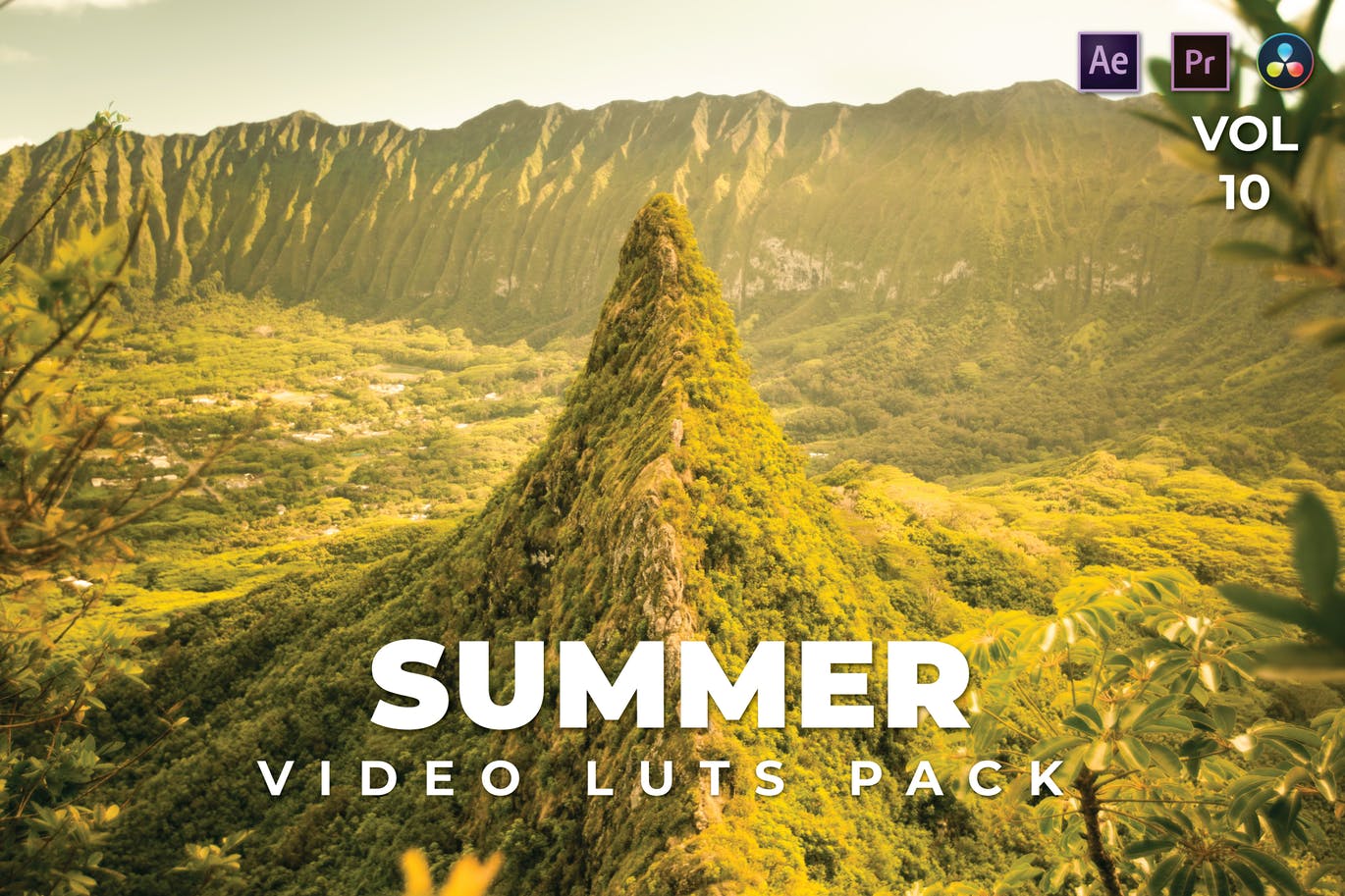 Summer Pack Video LUTs Vol.10